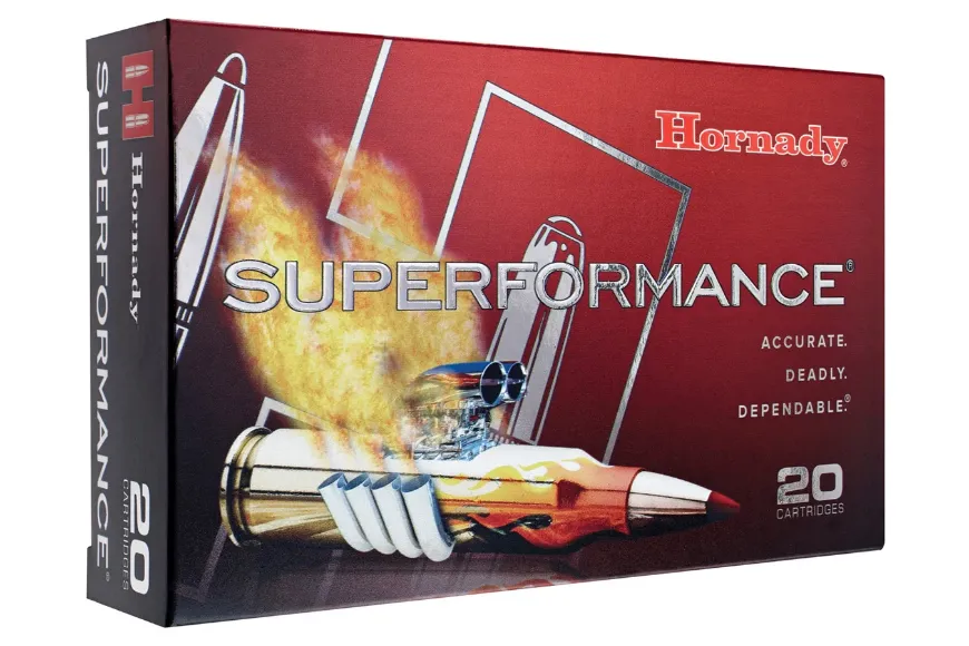 Slika METAK KARABINSKI 30-06 HORNADY 165 GR CX SPF